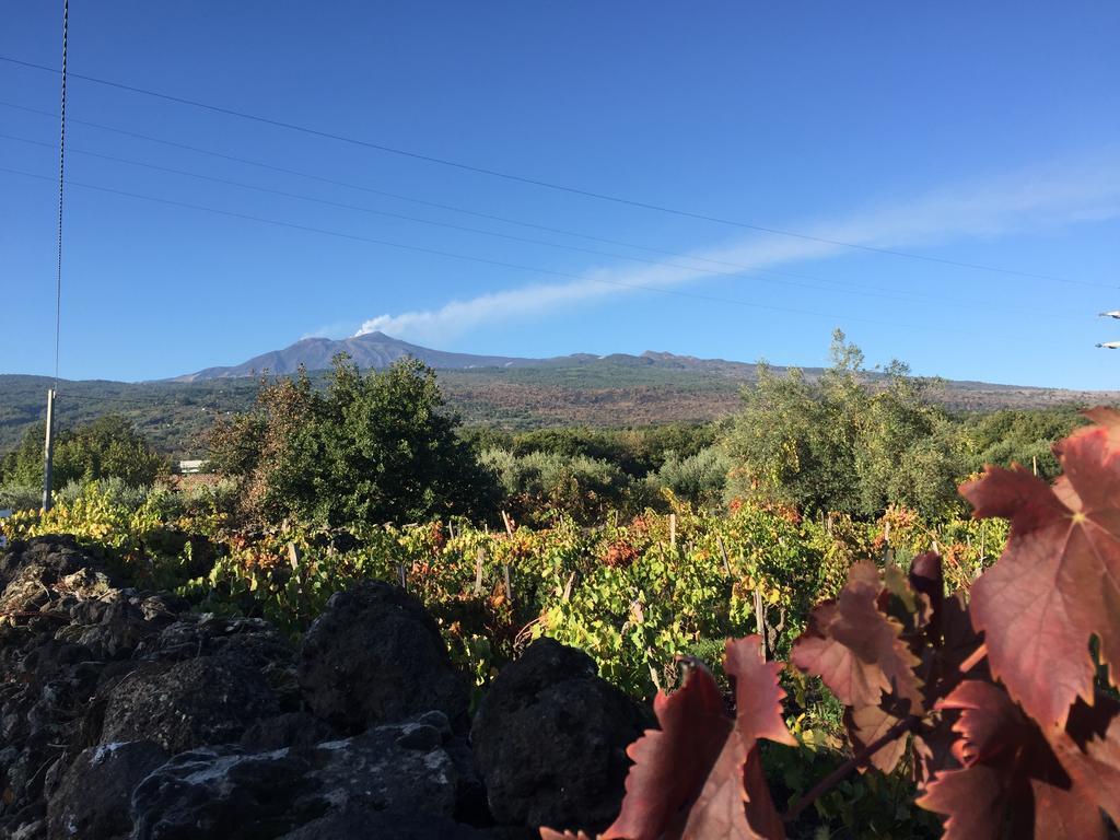 林瓜格洛萨 Etna Vintage酒店 外观 照片